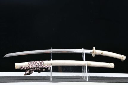Divine Breeze: Hand Forged Japanese Katana T10 Steel Blade White Saya